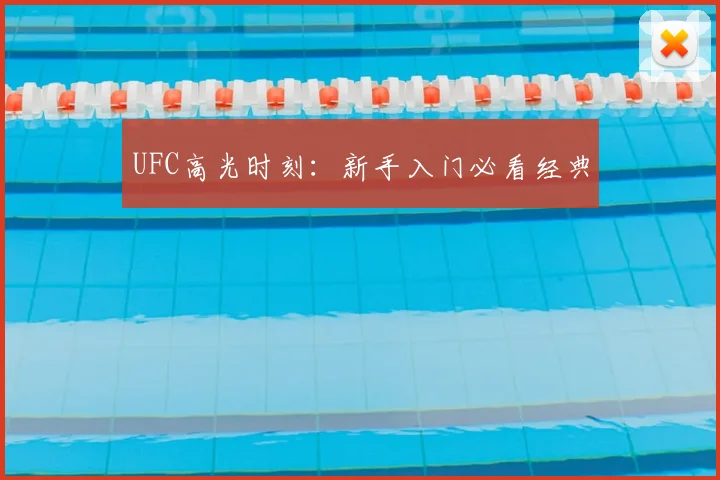 UFC高光时刻：新手入门必看经典