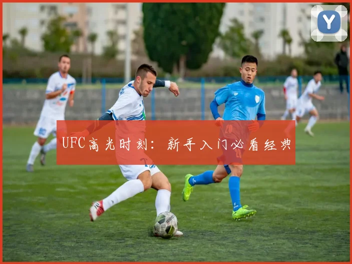 UFC高光时刻：新手入门必看经典