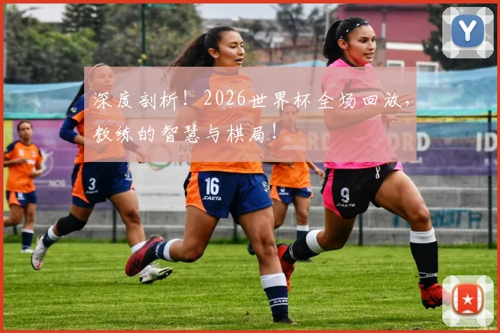 深度剖析！2026世界杯全场回放，教练的智慧与棋局！