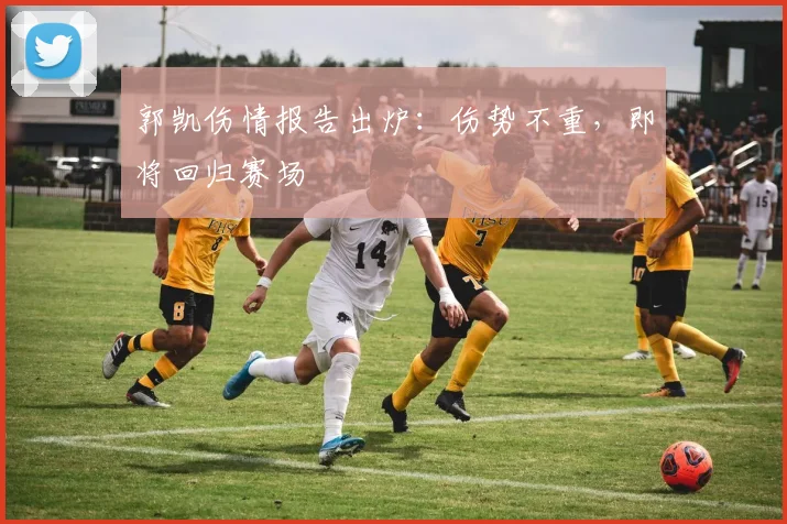 郭凯伤情报告出炉:伤势不重,即将回归赛场
