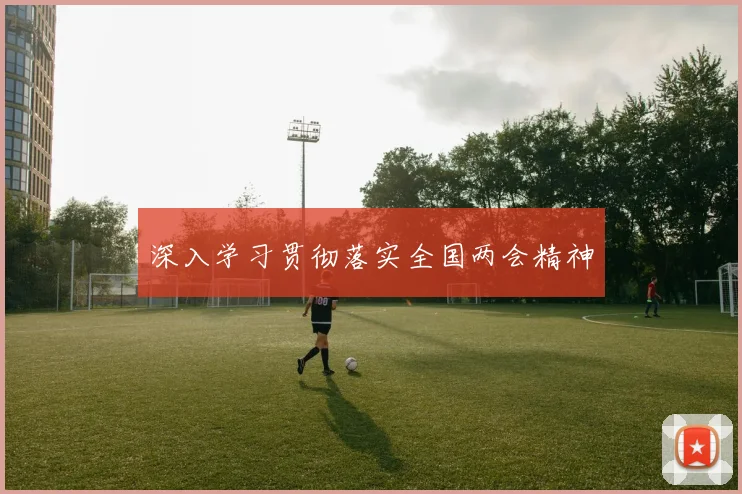 深入学习贯彻落实全国两会精神