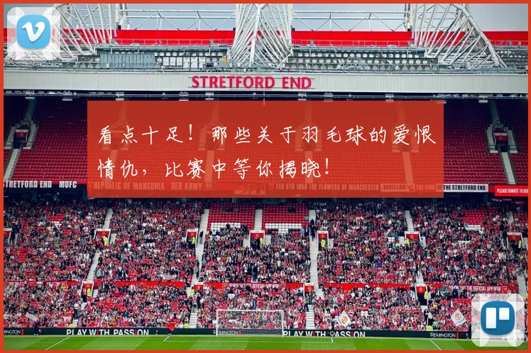 看点十足!那些关于羽毛球的爱恨情仇,比赛中等你揭晓!