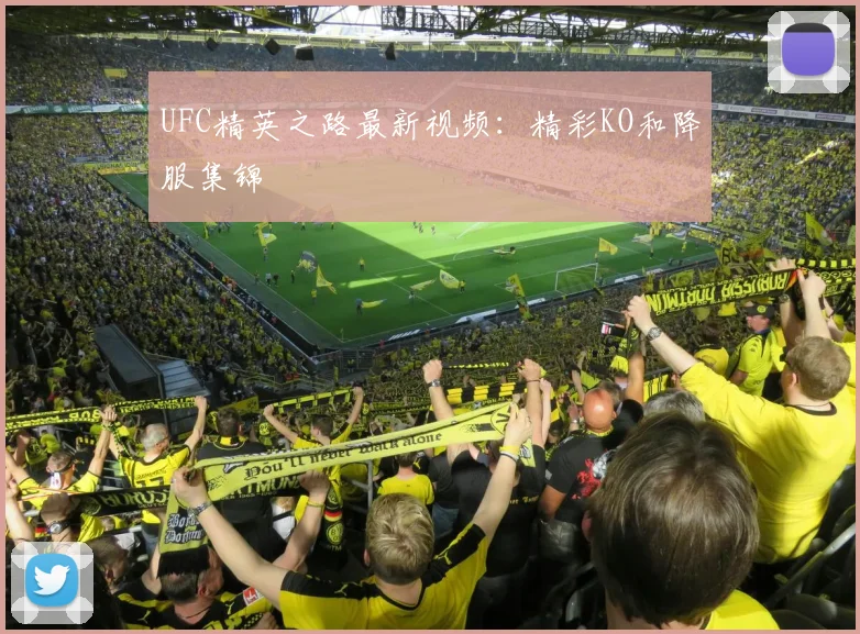 UFC精英之路最新视频：精彩KO和降服集锦