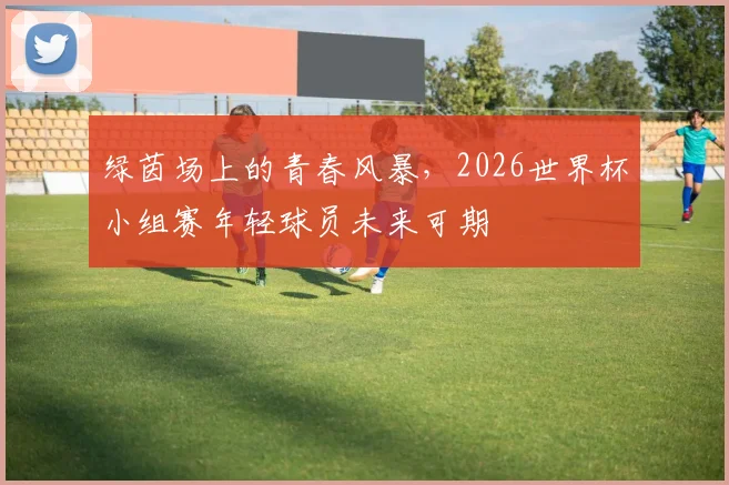 绿茵场上的青春风暴，2026世界杯小组赛年轻球员未来可期