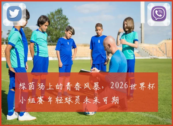 绿茵场上的青春风暴，2026世界杯小组赛年轻球员未来可期