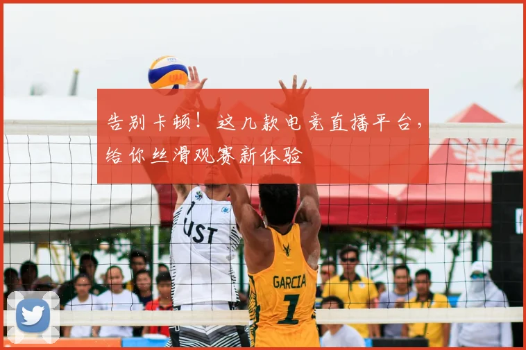 告别卡顿!这几款电竞直播平台,给你丝滑观赛新体验