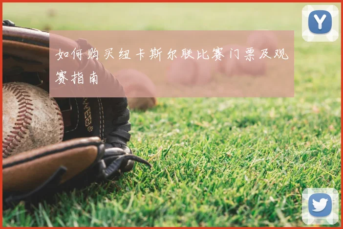 如何购买纽卡斯尔联比赛门票及观赛指南