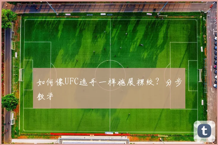如何像UFC选手一样施展裸绞?分步教学