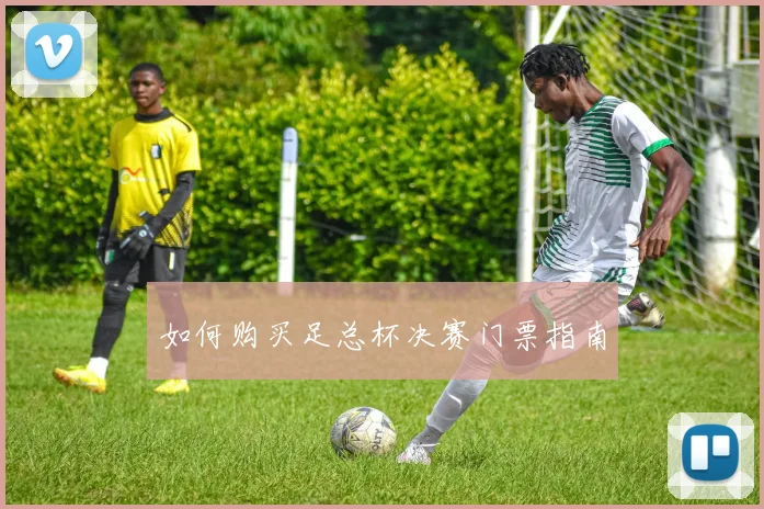 如何购买足总杯决赛门票指南