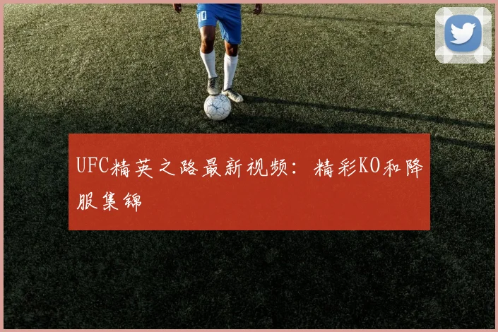 UFC精英之路最新视频：精彩KO和降服集锦