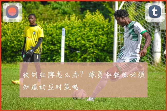 收到红牌怎么办?球员和教练必须知道的应对策略