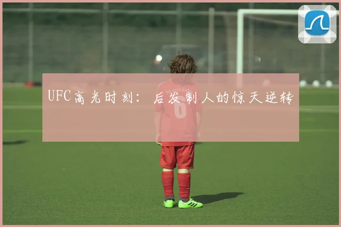 UFC高光时刻：后发制人的惊天逆转