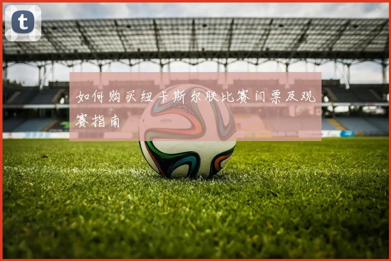 如何购买纽卡斯尔联比赛门票及观赛指南