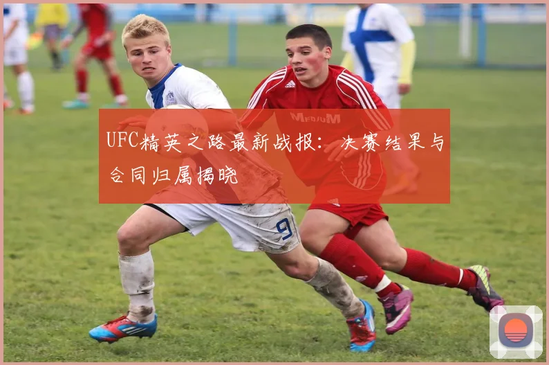 UFC精英之路最新战报：决赛结果与合同归属揭晓